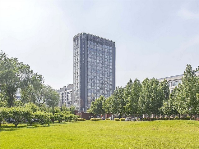 武进区发财树租赁费用是多少